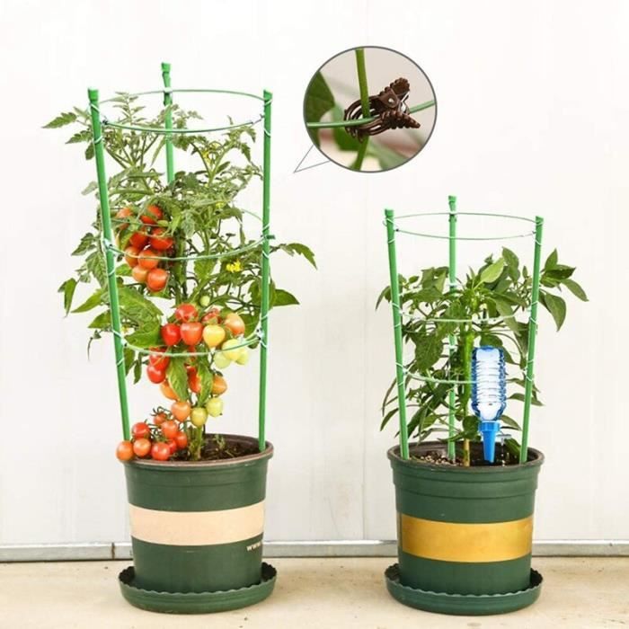 Jardinière Surélevée Avec Treillis avec Reserve d'Eau - Ciel & terre