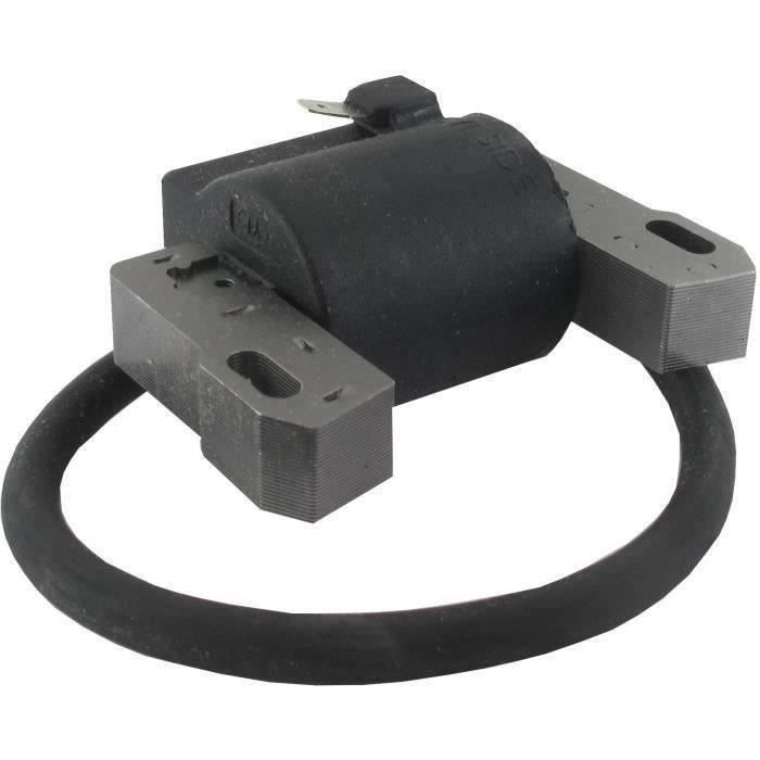 Bobine d'allumage adaptable pour moteurs BRIGGS & STRATTON