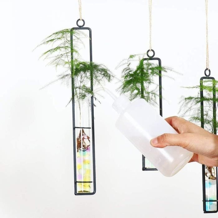 VASE tube de tube à essai en fer forgé verre transparent suspendus vases de  fleurs terrarium c Da24232 - Cdiscount Maison