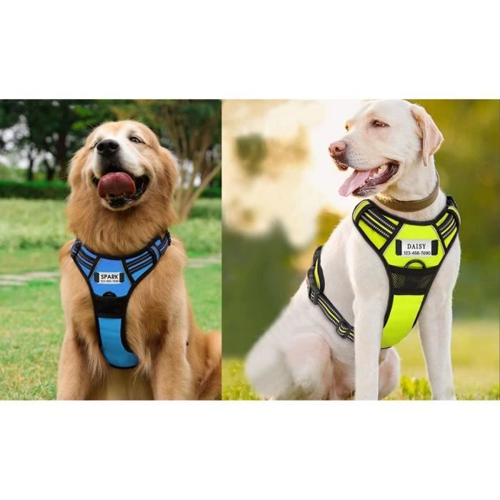 Gadgets promotionnels personnalisés pour chiens avec indicateur de