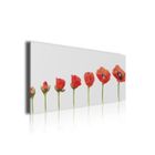 Tableau - HXA DECO - Coquelicots - 80x30cm - Rouge - Contemporain - Design