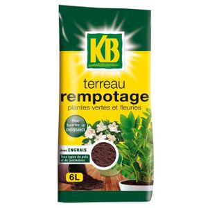 TERREAU - SABLE KB - Terreau pour rempotage 6l