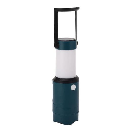 LAMPE PORTATIVE UNIVERSELLE Au Néon De Poche Ampoule Fluorescente De