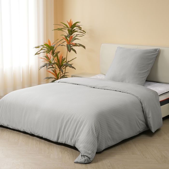 Parure 3 Pièces Gris Clair Good Nite Parure De Lit Avec Housse De Couette Et Taies D'oreiller En Microfibre Douce (Gris Clair, Très Grand Lit 230 X 220 Cm Parure élégante Gris Clair