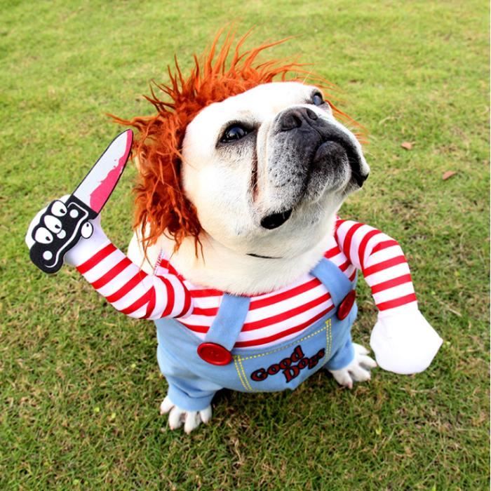 Deguisement De Poupee De Mort Pour Chiens Effrayant Halloween Cosplay Poupee Chucky Costume M Achat Vente Costume Ensemble Deguisement De Poupee De Mo Cdiscount