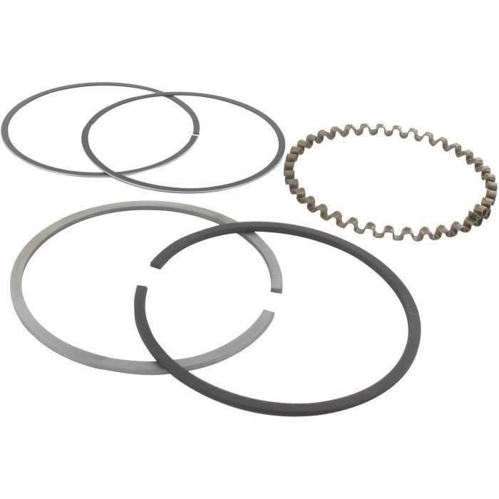 Segments KOHLER 235891 - 48-108-03 modèles K-301 - 12 ch