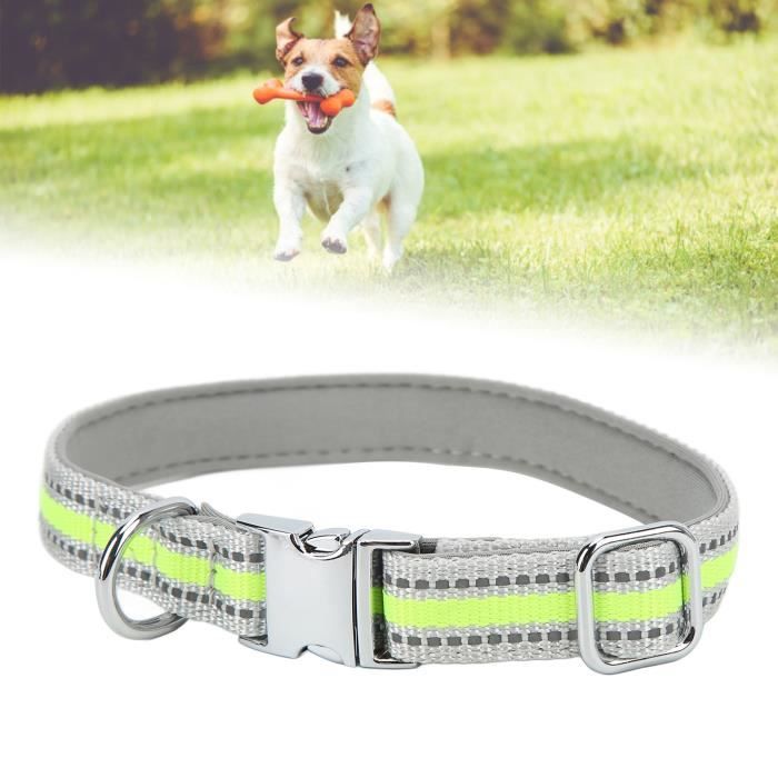 Harnais Pour Chien GoPro Réglable - Support Caméra Poitrine Et Dos Pour Toutes Tailles De Chien