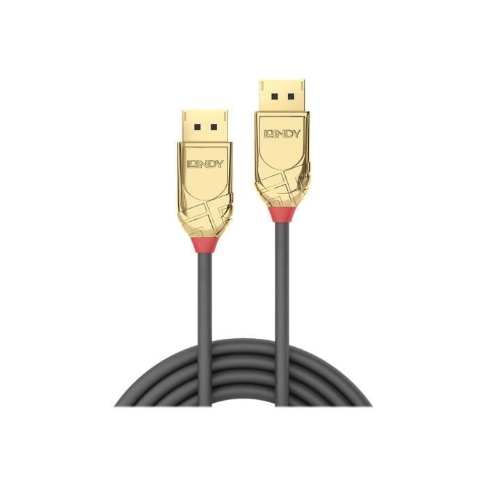 Lindy Gold Câble DisplayPort DisplayPort (M) pour DisplayPort (M) DisplayPort 1.2 1 m support 4K gris