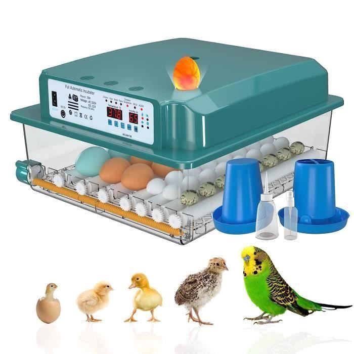 Comparer les prix de Couveuse Oeuf Automatique 36 Oeufs, Incubateur Oeuf Automatique, Retournement Automatique des œufs et Surveillance de l'humidité-L