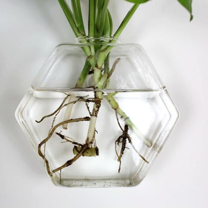 3 Vases Décoratifs En Forme D'ampoule - Verre Transparent, Avec Ficelle, Pour Plantes Suspendues, Intérieur Maison