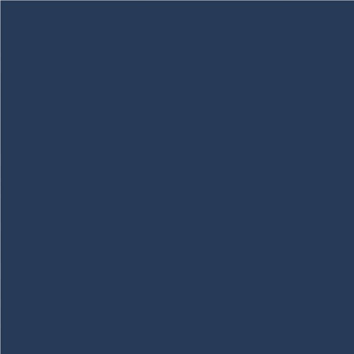 Peinture craie (Chalky Finish) - bleu nuit - 118 ml - Rayher Bleu - Achat /  Vente peinture acrylique Peinture craie (Chalky Fini… - Cdiscount