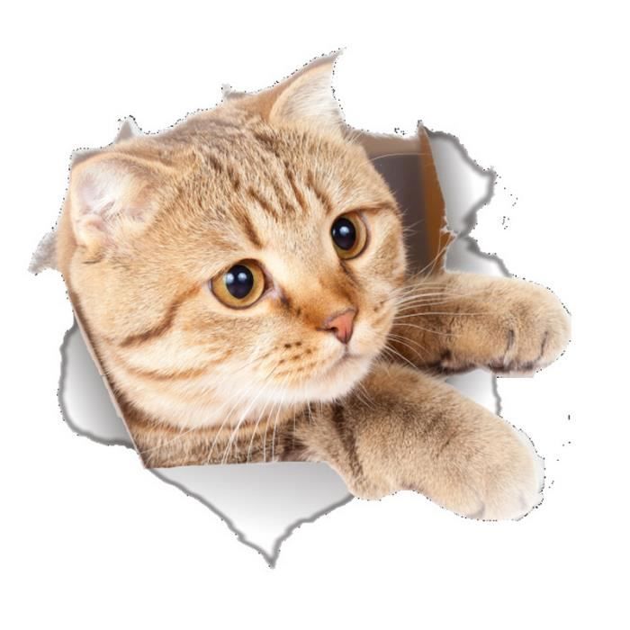 Sticker Pour Cuvette Des Toilettes Wc Chat Mignon Autocollant Toilette Decoration Cdiscount Bricolage