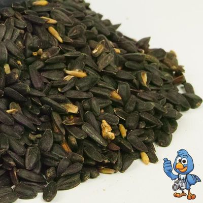 Graines De Tournesol Noires GiDeli – 5 Kg – Nourriture Pour Oiseaux Sauvages, Chevaux Et Petits Animaux – Haute Teneur En énergie, Sans OGM