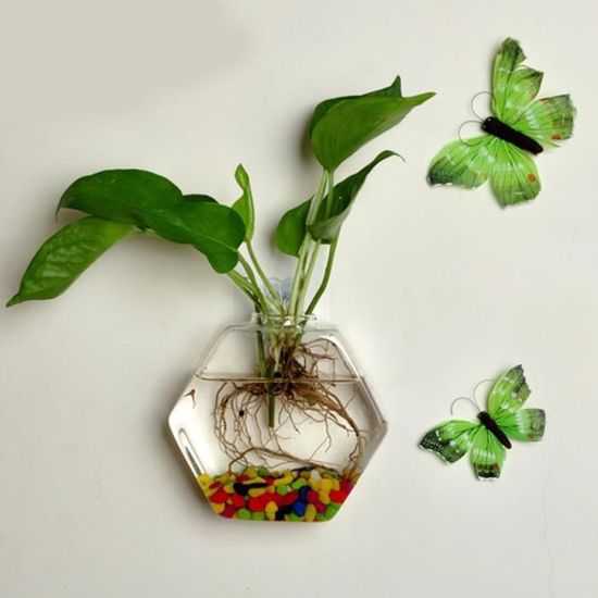 2 Vases Hydroponiques Suspendus En Verre Transparent - Pots Muraux Pour Plantes D'intérieur Ou Balcon