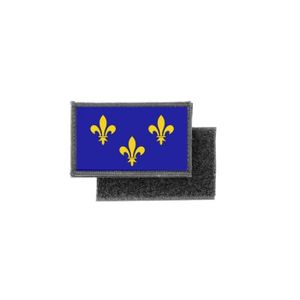 ECUSSON Patch ecusson imprime drapeau fleur de lys bleu fr