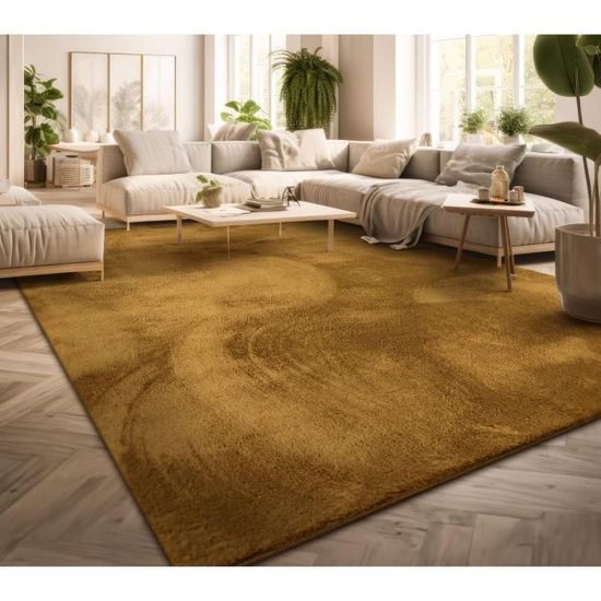Tapis Salon Poil Ras