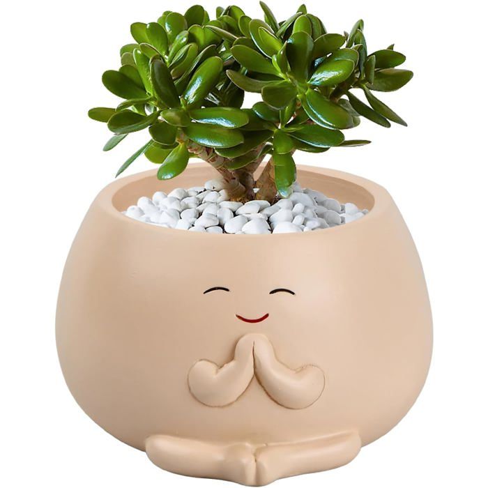 Pot de fleurs en résine beige - Trou de drainage - Forme ronde - 10 5 x 10 5 x 6 5 cm - Intérieur