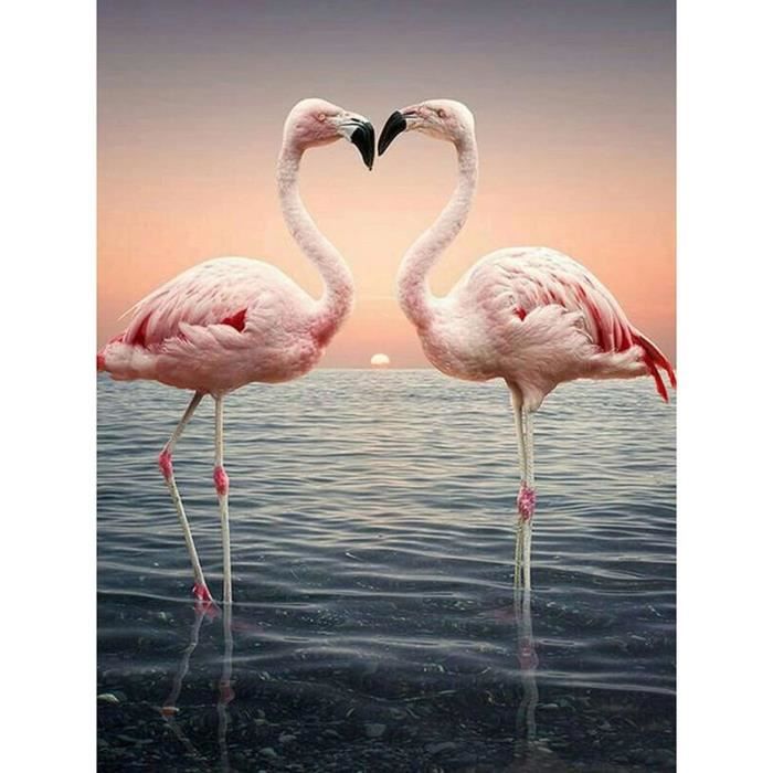 Diamond Painting Kits,Fleurs Grande Taille D'art De Diamant De