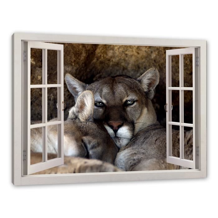 Somnolent toile fen tre couple Puma image Taille 120x80 cm