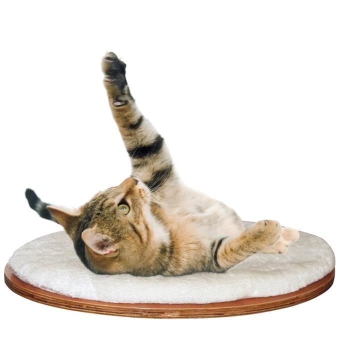 Lit mural pour chats - KERBL - Dolomit - 50 x 35 cm - Coussin en peluche - Fixation murale Lit mural pour chats - KERBL - Dolomit - 50 x 35 cm - Coussin en peluche - Fixation murale