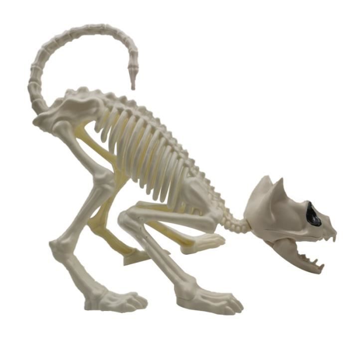 1pc Accroupi Chat Squelette Crane Modele Effrayant Os D Animaux Pour La Decoration D Halloween Blanc Statue Statuette Cdiscount Maison
