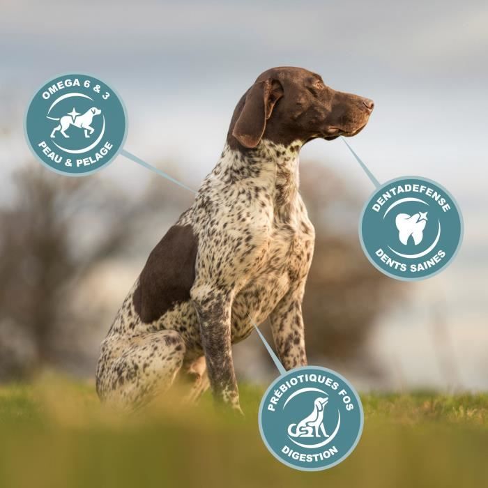 Eukanuba Croquettes Sans Céréales Pour Grands Chiens Adultes - Agneau, 12kg - Santé Articulations & Peau