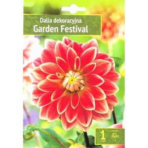 BULBE Agronom | Dahlias Comme Plantes Ornementales Garden Festival | Bulbes À Fleurs Vivaces | Fleurs Roses | Sont Cultivés Dans De[J767]