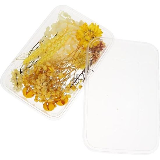 Achat Carte Fleurs Séchées Naturelles Merci Cadeau Maîtresse, Bouquet