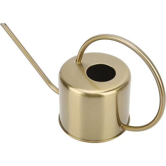 Arrosoir En Acier Inoxydable Avec Long Bec - Outil Jardin Intérieur Et Extérieur