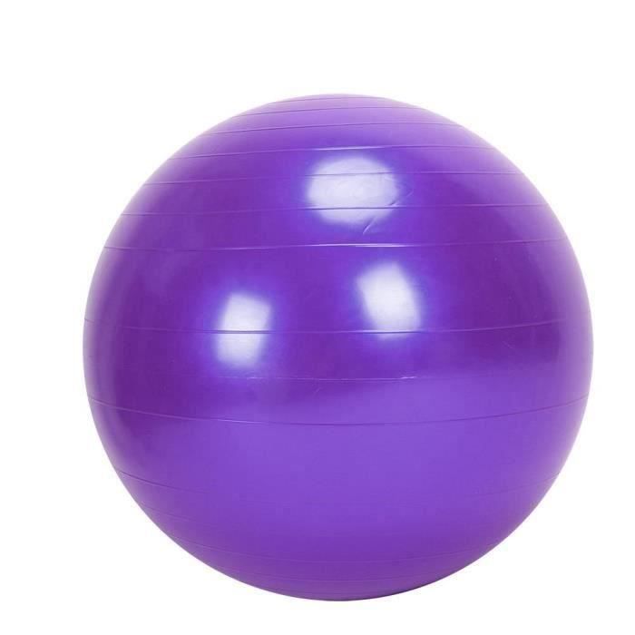 Rain MEIHESHOP 75CM Ballon Suisse-GYM Yoga Exercise Fitness Avec Pompe Violet