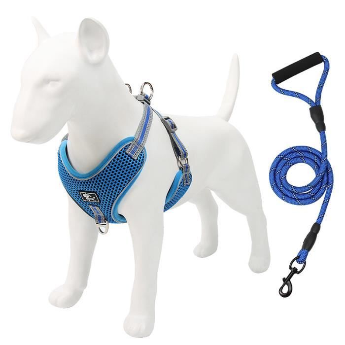 XXL Bleu Harnais de gilet pour grand chien Golden Retriever, ensemble de harnais