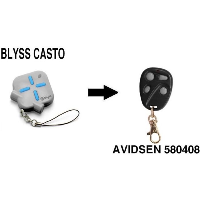Telecommande Blyss Castorama Remplace Par Avidsen 580408 Achat