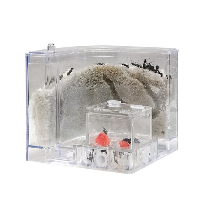 Fourmi Maison Ensemble Ecologique Cage Sable Nid Transparent Bricolage Education Elevage Enfants Jouet Atelier Ferme Plastique A Cdiscount Jeux Jouets