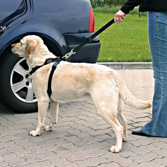Trixie Harnais Pour Voiture Pour Chien 50 70 Cm Achat Vente