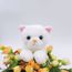 Doudou Peluche Nounourse Jouet Enfant Chat Blanc Mignon