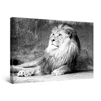 Startonight Impression sur Toile Roi Lion, Tableau Motif Moderne Décoration  Prêt à Accrocher 60 x 90 cm