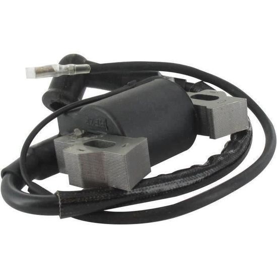 Bobine D'allumage Adaptable Pour Ggp / Mountfield Modèles Sv150, Rv150, M150, V35, V40. Remplace