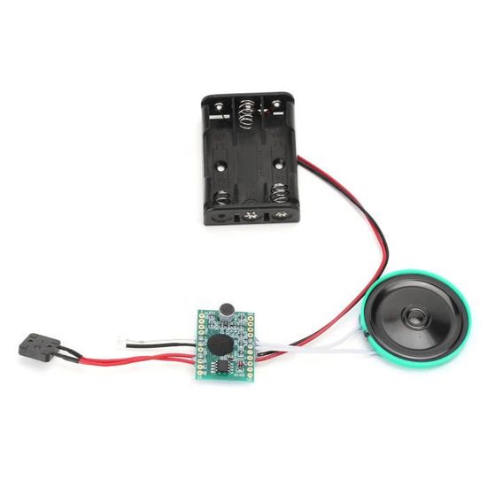 Module Sonore Enregistrable Pour Peluche - Boîte Vocale Réutilisable - Message Personnalisé Cadeau
