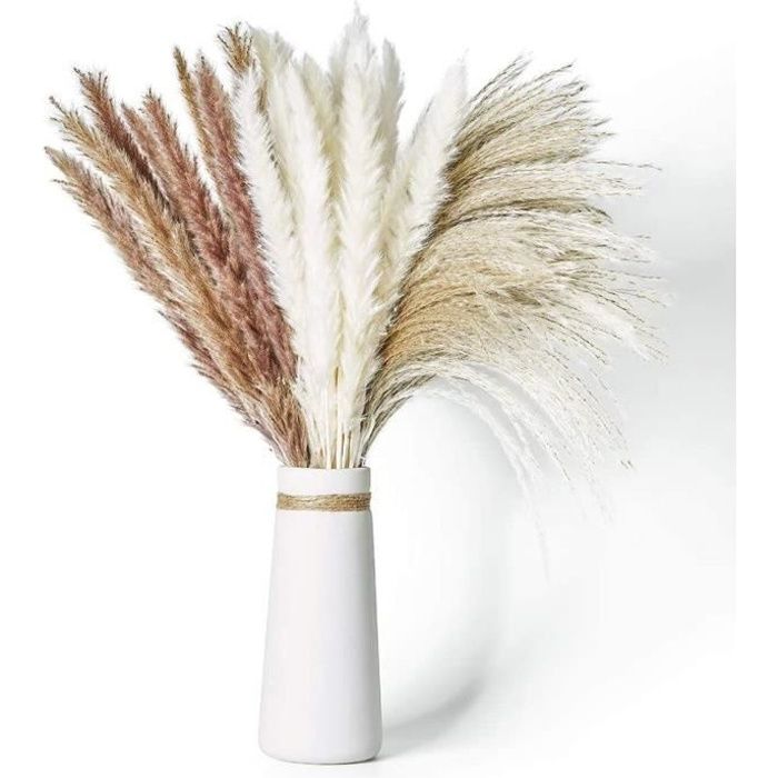 Herbe de la Pampa Séchée Naturelle 60Pcs avec 3 Types de Couleur pour Arrangements Floraux de Mariage Décoration d’Intérieur