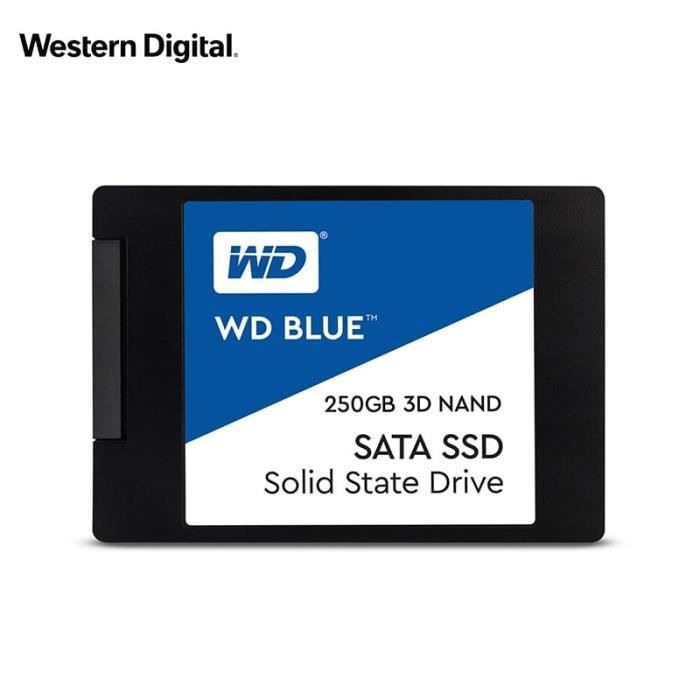 WESTERN DIGITAL 250 Go BLUE 3D NAND SSD Disque dur interne SATA3 2.5 -pour ordinateur portable PC portable Ssd 500 Go Disque dur Ssd