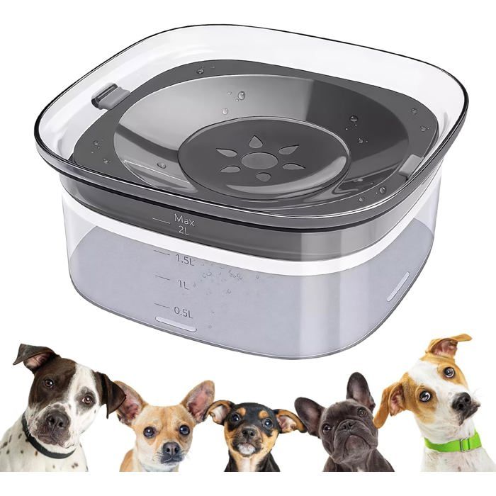 Gamelle Deau Sans Renversement Pour Chiens : Gamelle Pour Chien 2L Sans Bavure Gamelle Deau Pour Chien Gamelle À Eau Anti-fuite