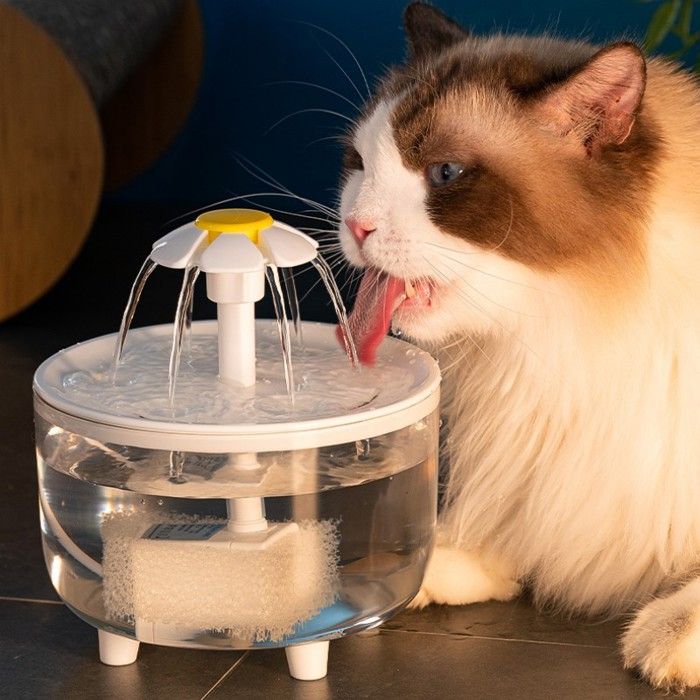 Bain doiseaux automatique fontaine à eau dintérieur pour oiseaux baignoire-douche pour perroquets interface USB