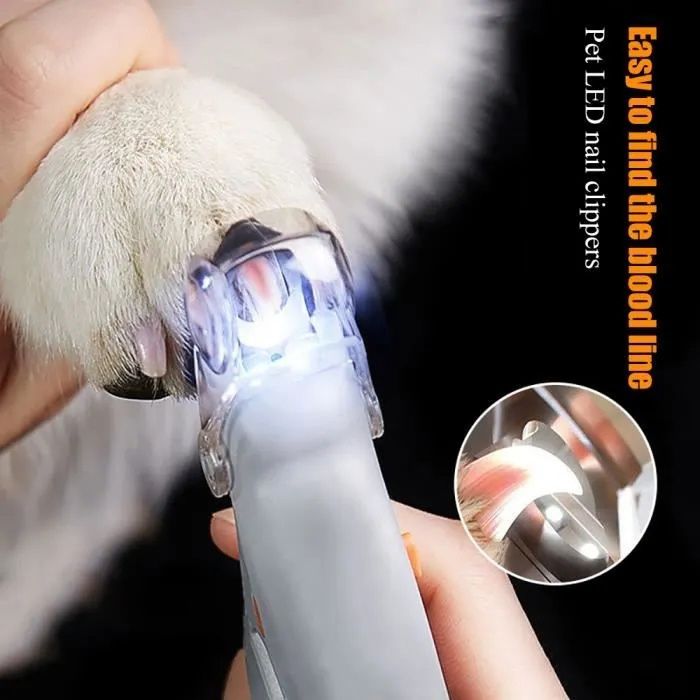 Meilleurs prix pour Coupe-Ongles pour Animaux Chiens Chats avec Lumiere Tondeuses Griffes Outil Soin