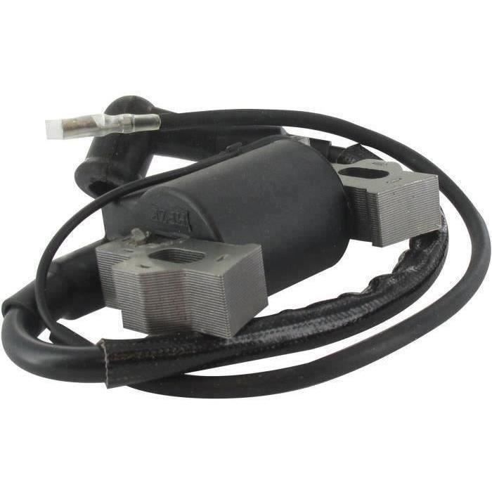 Bobine d'allumage adaptable pour GGP / MOUNTFIELD modèles RM55, RM55ES 196cc OHV/Série 5500, RM65 (W