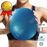 TD® Balle De Massage De Yoga Bleu 25cm Exercice Pilates Balance Gymnastique Exercice Balles De Fitness