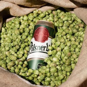 BIERE Pilsner Urquell - Bière - 3x50cl boîte - 4,4%