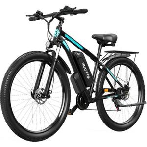 VÉLO ASSISTANCE ÉLEC VTT Électrique DUOTTS C29 Vélo Électrique 750W VTT