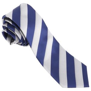 CRAVATE - NŒUD PAPILLON cravates de garçons d'honneur Hommes Cravates Hommes Classique Rayé Affaires Costume Décontracté Chemise Cravate