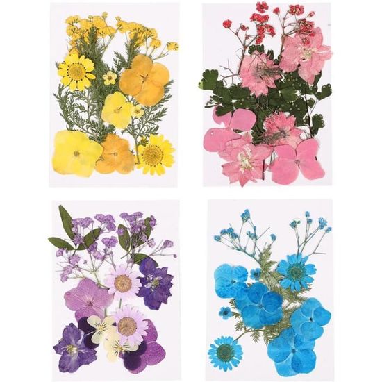 ZKGYUS Lot 24 Feuilles Trèfles à 4 Feuilles Séchés Naturels – Fleurs Pressées Pour Résine, Bijoux, Artisanat DIY – Symbole Chance & Bonheur