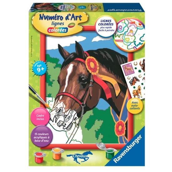 Peinture Au Numero Numero D Art Lignes Colorees Cheval A La Cocarde Aille Unique Coloris Unique Achat Vente Peinture Au Numero Peinture Au Numero Numero Cdiscount